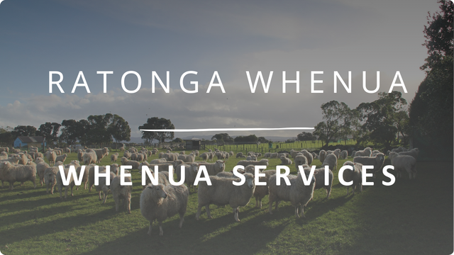 Whenua Services