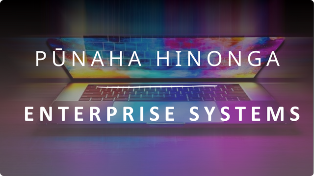 Enterprise Systems