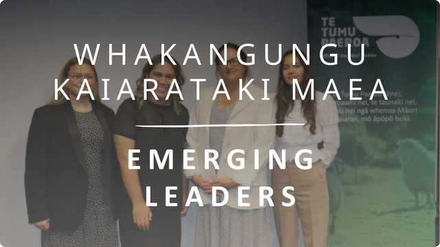 Emerging Leaders